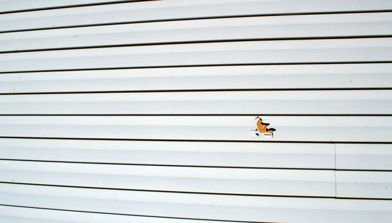 Vinyl Siding Repair - Image 10