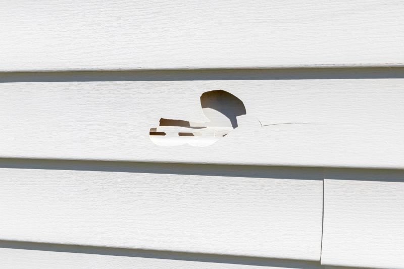 Vinyl Siding Repair - Image 18